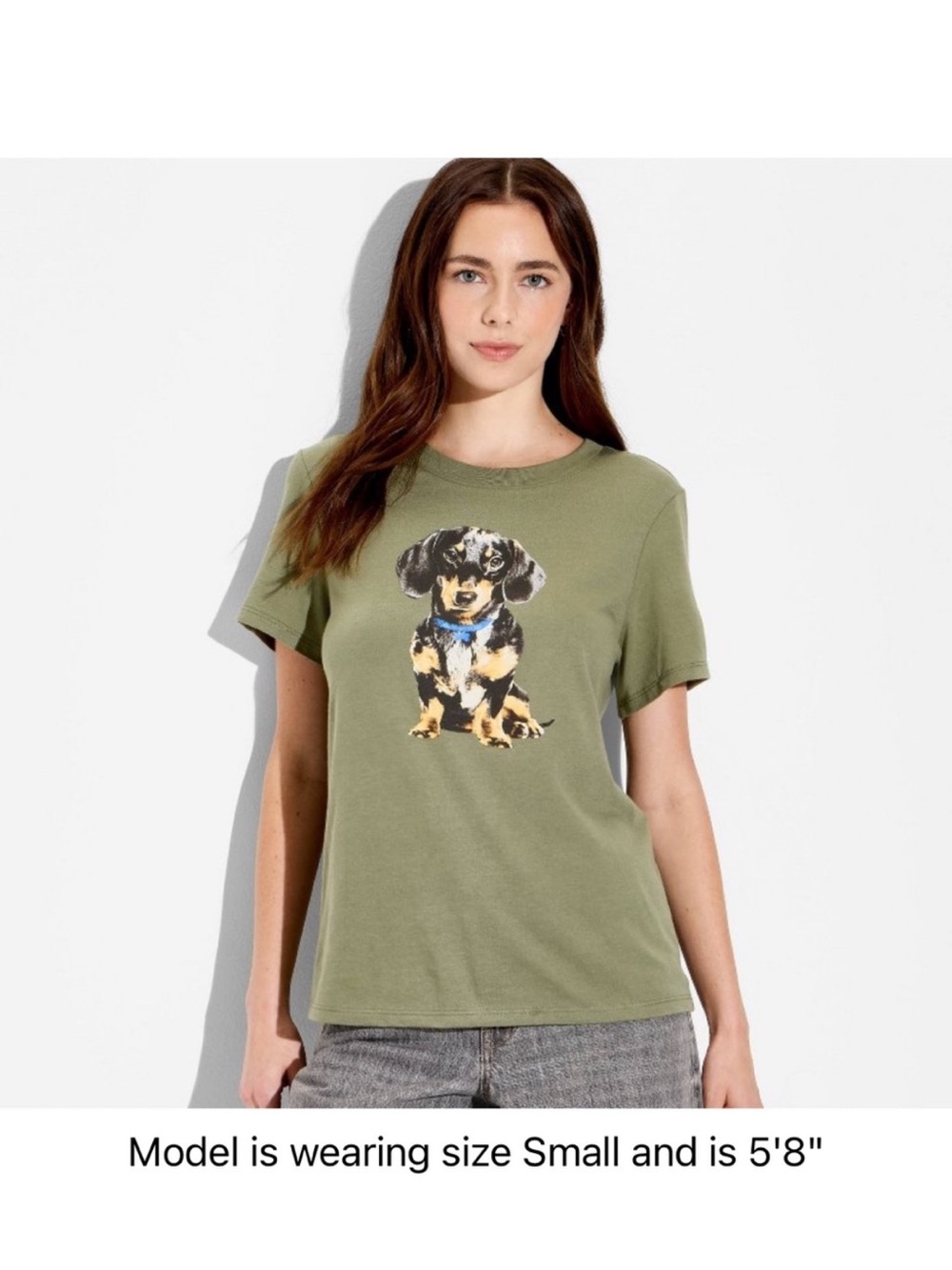 Women’s Small Dachshund Graphic Tee - NWT